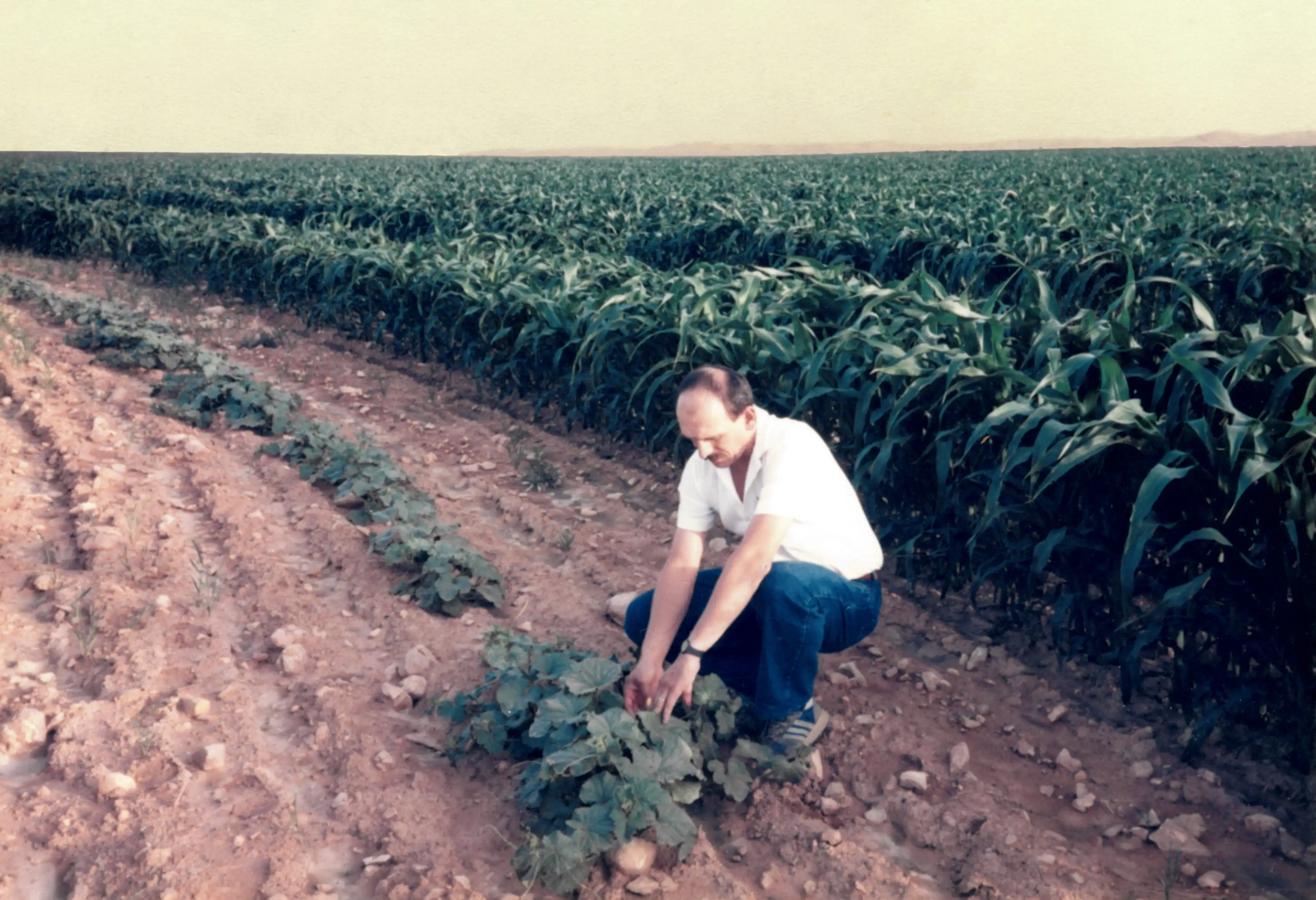 Jean-Louis Forgeard our founder in the desert of Saudi Arabia