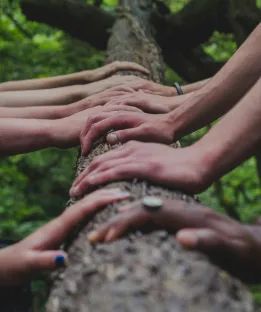 Renewable energy and sustainability