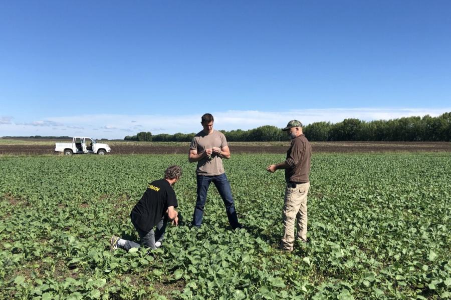 Russia - 01 - In field