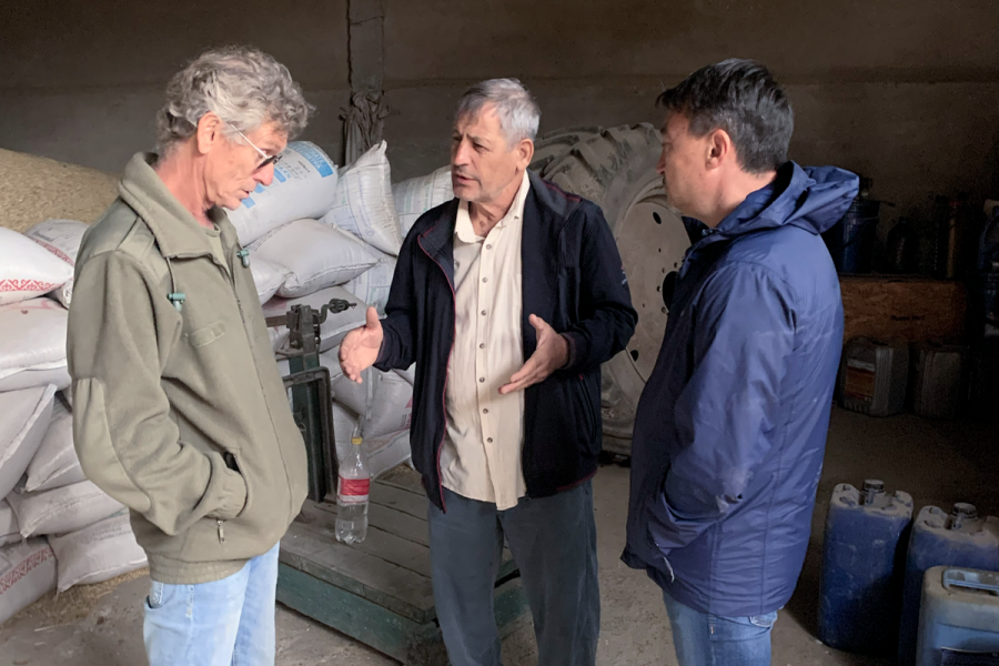 Assessing sugar beet production